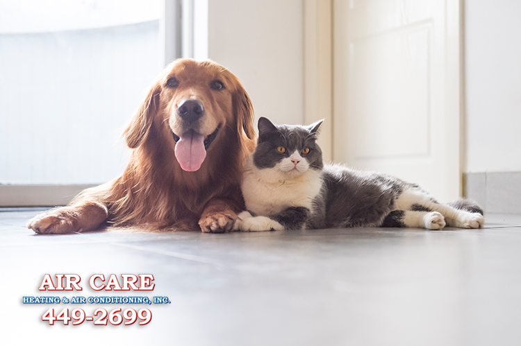 HVAC Maintenance Tips for FL Pet Owners
